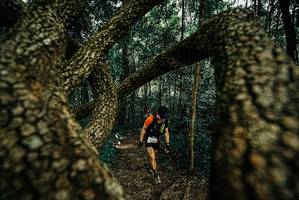 BIB: 
                            <button type="button" onclick="openModal(25670998)" class="btn btn-primary btn-sm float-right btn-popup" data-toggle="modal" data-target=".modal-high-quality">
                        <i class="fas fa-shopping-cart"></i> Add to Cart
                    </button>
                                            <button type="button" onclick="isThisMe(25670998, true)" class="btn btn-success btn-sm float-right btn-popup btn-isme hidden" data-toggle="tooltip" data-placement="bottom" title="นี่คือรูปของคุณใช่ไหม คลิกที่นี่เพื่อเอาเข้าอัลบั้ม">
                        <i class="fas fa-plus"></i> Add to album
                    </button>
                    <button type="button" onclick="isThisMe(25670998, false)" class="btn btn-warning btn-sm float-right btn-popup btn-isnotme hidden">
                        <i class="fas fa-ban"></i> Remove from album
                    </button>